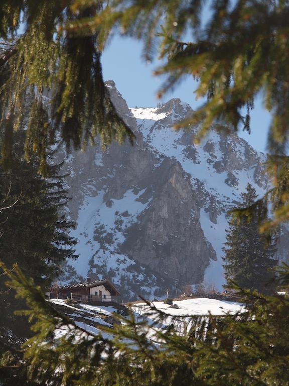 Alpenresidenz Chiemgau Schleching Exterior foto